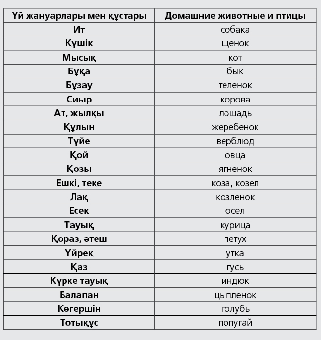 Казахский Язык Грамматика